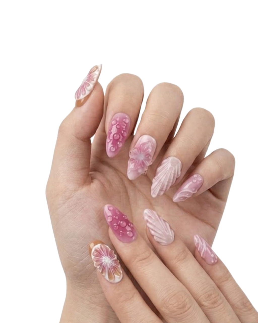 Rosé Petal